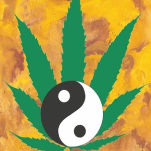 Ying Yang Cannabis