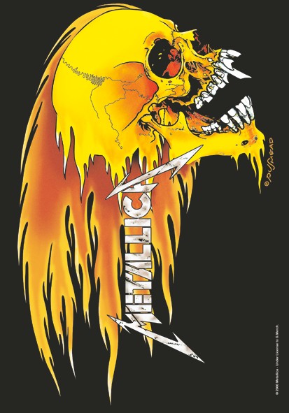 Metallica - Skull & Flames