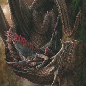 SALE FLAG ANNE STOKES - WINGED COMPANIONS