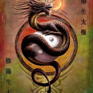 SALE FLAG ANNE STOKES - YIN YANG PROTECTOR